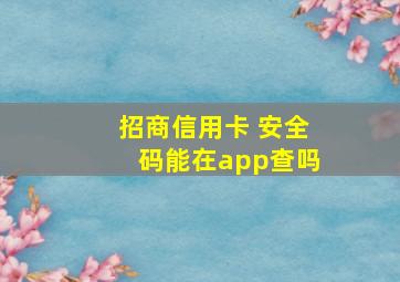 招商信用卡 安全码能在app查吗